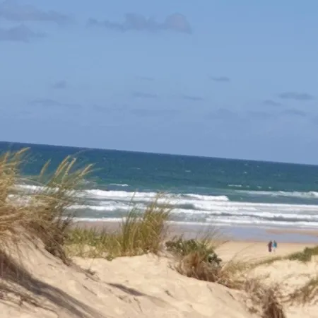 Les Dunes A Contis Landes 营地 波讷地区圣朱利安